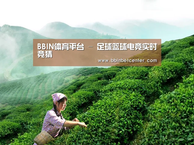 BBIN体育平台 - 足球篮球电竞实时竞猜